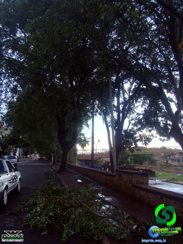 DSC08436.jpg