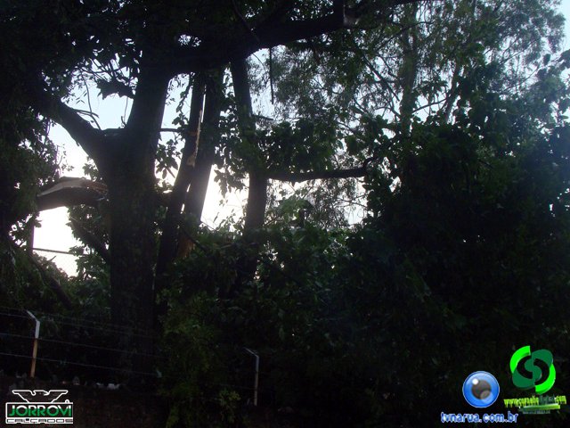 DSC08476.jpg