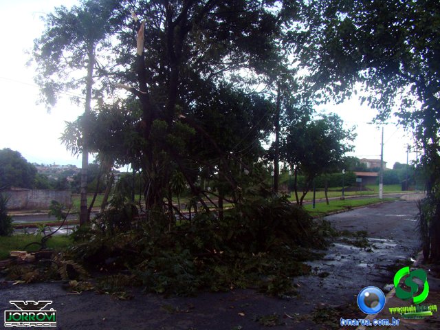 DSC08482.jpg