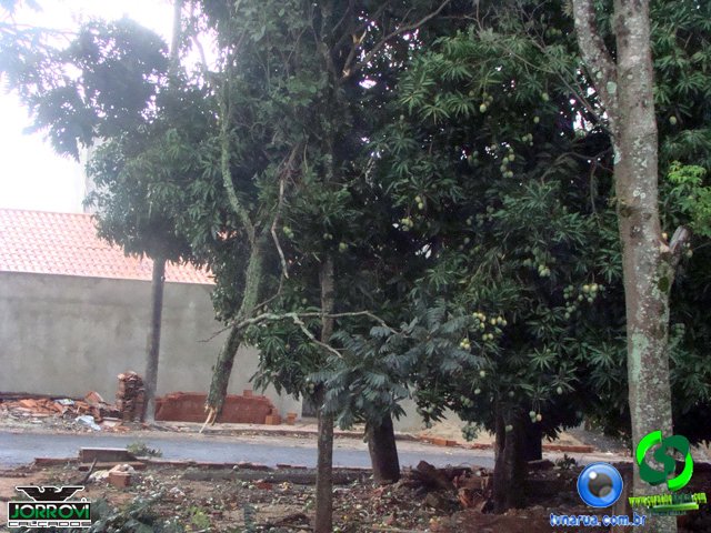 DSC08508.jpg