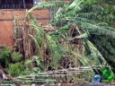 DSC08383.jpg