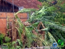 DSC08384.jpg