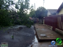DSC08404.jpg
