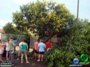 DSC08414.jpg
