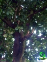DSC08455.jpg