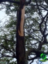 DSC08459.jpg