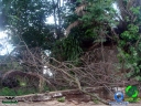 DSC08462.jpg