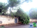 DSC08474.jpg