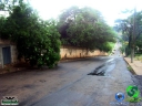 DSC08478.jpg