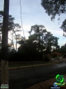 DSC08495.jpg