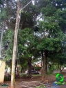 DSC08526.jpg