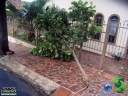 DSC08530.jpg