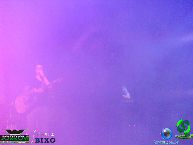 DSC02293.jpg