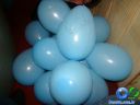DSC02656.jpg
