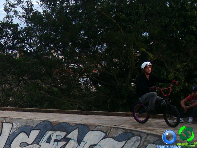 DSC01408.jpg