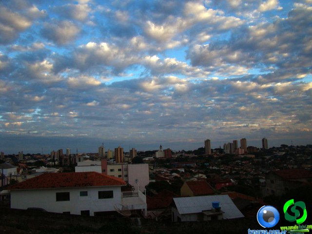 DSC01445.jpg