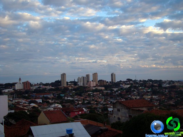 DSC01447.jpg