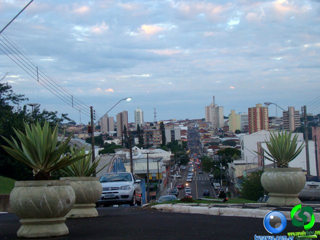 DSC01466.jpg