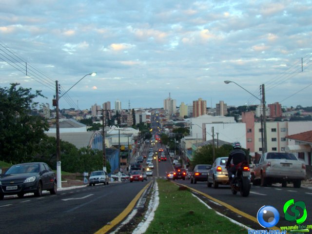 DSC01467.jpg