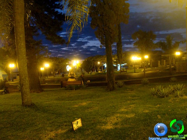 DSC01571.jpg