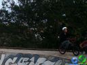 DSC01408.jpg