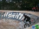 DSC01417.jpg