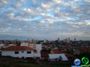 DSC01446.jpg