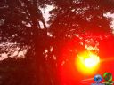 DSC01486.jpg