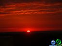 DSC01489.jpg