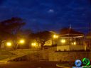 DSC01566.jpg