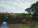DSC05503.jpg