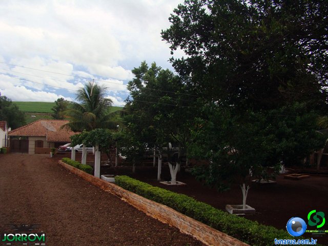 DSC06190.jpg