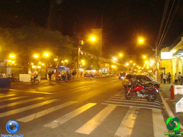 DSC01978.jpg