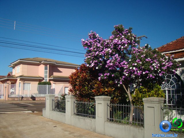 DSC02350.jpg