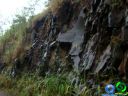 Filename=DSC04575.jpg
Filesize=73KiB
Dimensions=640x480
Date added=Jun 22, 2012 DSC04575.jpg