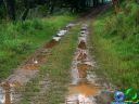DSC04592.jpg