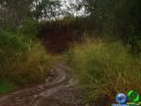 DSC04628.jpg