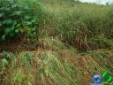 DSC04647.jpg