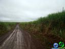 DSC04667.jpg