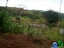Filename=DSC04704.jpg
Filesize=62KiB
Dimensions=640x480
Date added=Jun 22, 2012 DSC04704.jpg