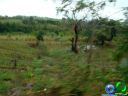 DSC04705.jpg