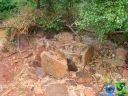 DSC04740.jpg