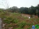 DSC04751.jpg