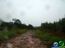 DSC04757.jpg