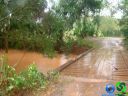 Filename=DSC04762.jpg
Filesize=91KiB
Dimensions=640x480
Date added=Jun 22, 2012 DSC04762.jpg
