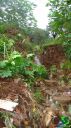 DSC04570.jpg