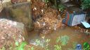 DSC04577.jpg