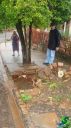 DSC04589.jpg