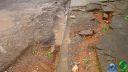 DSC04607.jpg