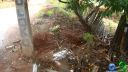 DSC04624.jpg